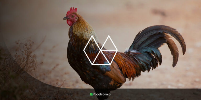 Das Alphabet der Vitaminergänzung in der Tierernährung