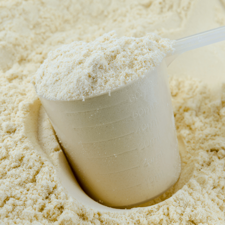 Whey Protein Concentrate 80% (WPC 80)