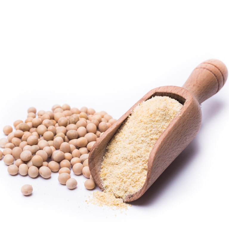 Concentrado de Proteína de Soja 60% – Feed Grade
