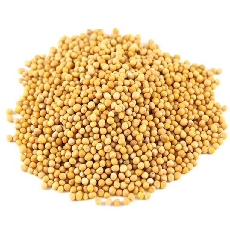 Charlock (Mustard Seeds)