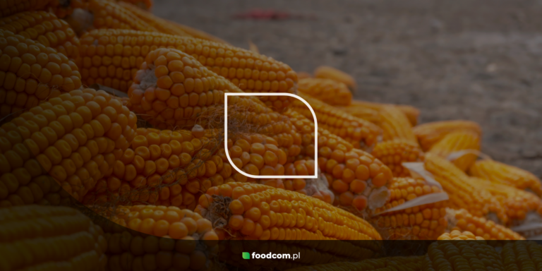 कॉर्न ग्लूटेन आटा &#8211; एक ऐसा उत्पाद जो जितना ध्यान पाता है उससे कहीं अधिक ध्यान देने योग्य है