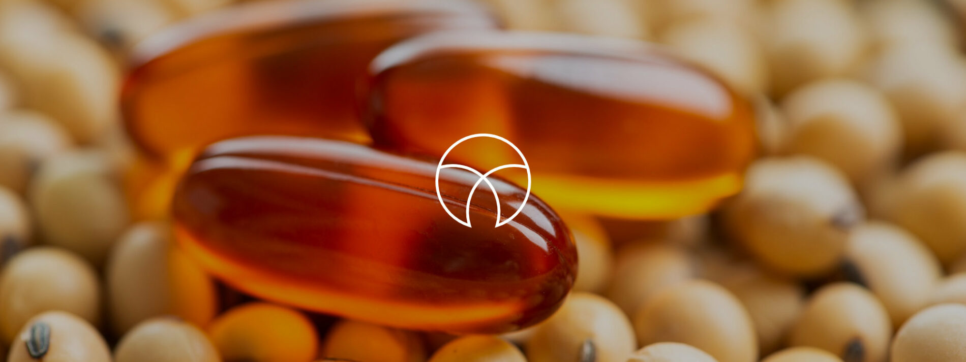 Lecithin what is it? Uses of Sunflower, Soybean and Rapeseed Lecithin