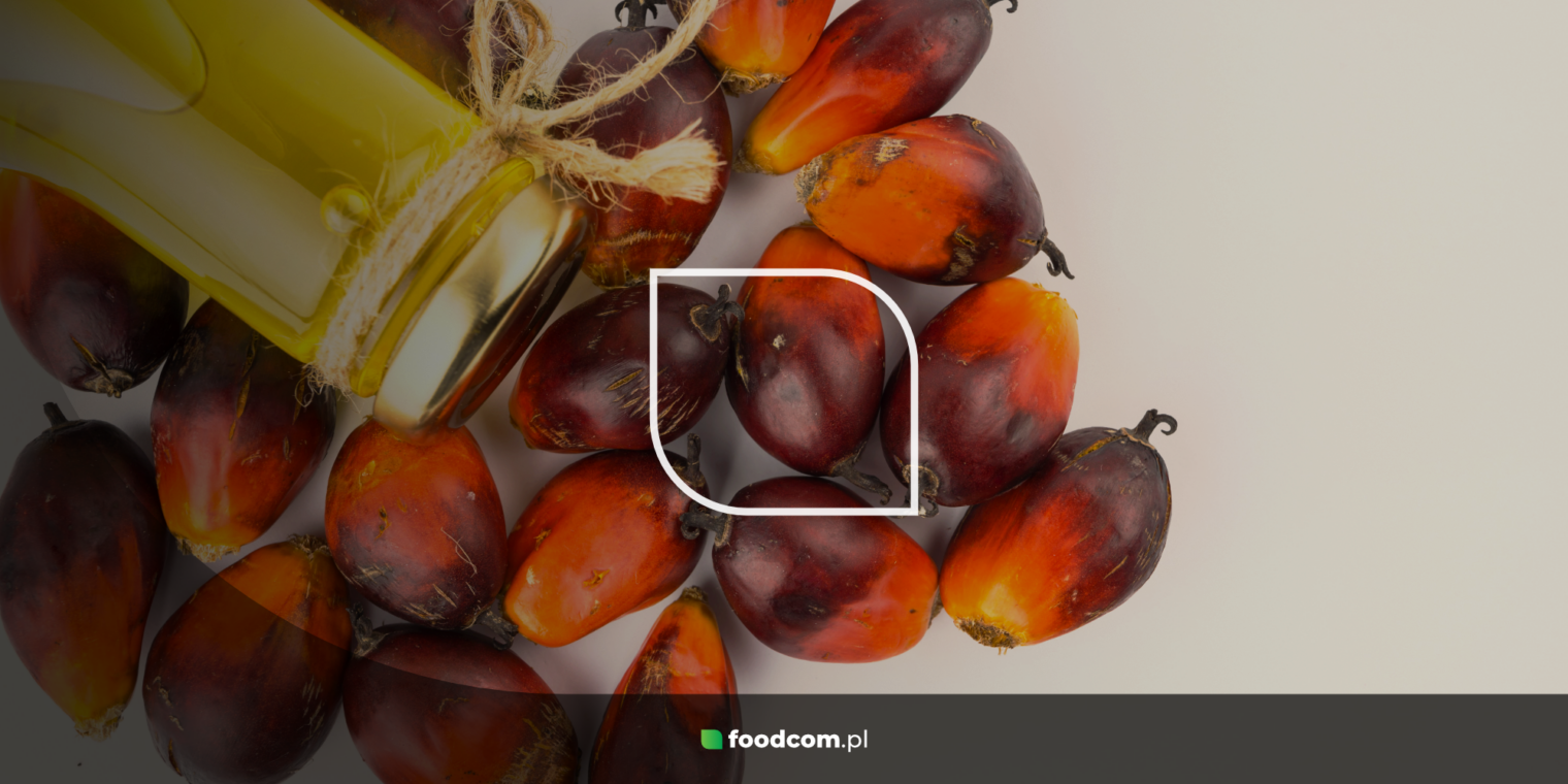 The versatility of Palm Oil: its use in food, cosmetics, biofuels and more