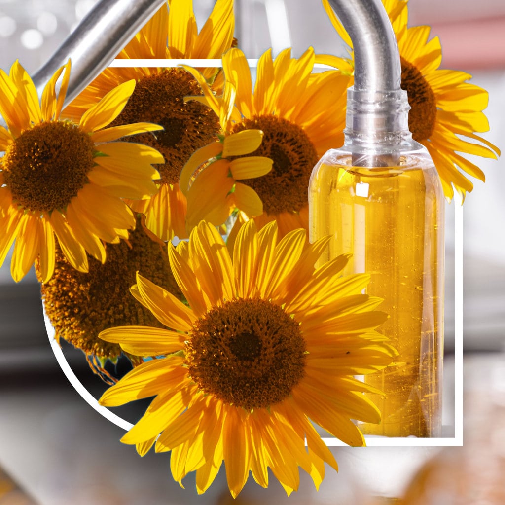 Aceite de Girasol | Aceites de Origen Vegetal - Foodcom