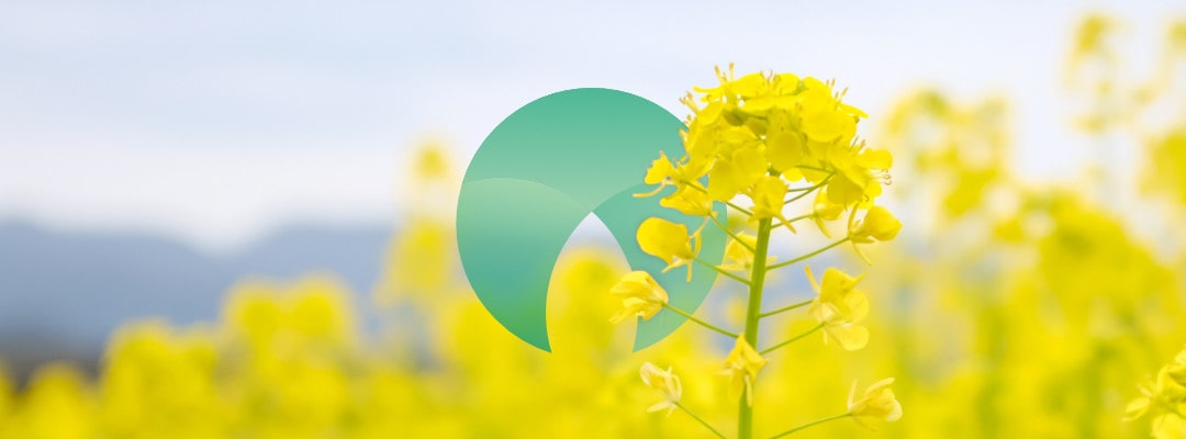 How Rapeseed Oil serves as a multi-use industrial oil? 