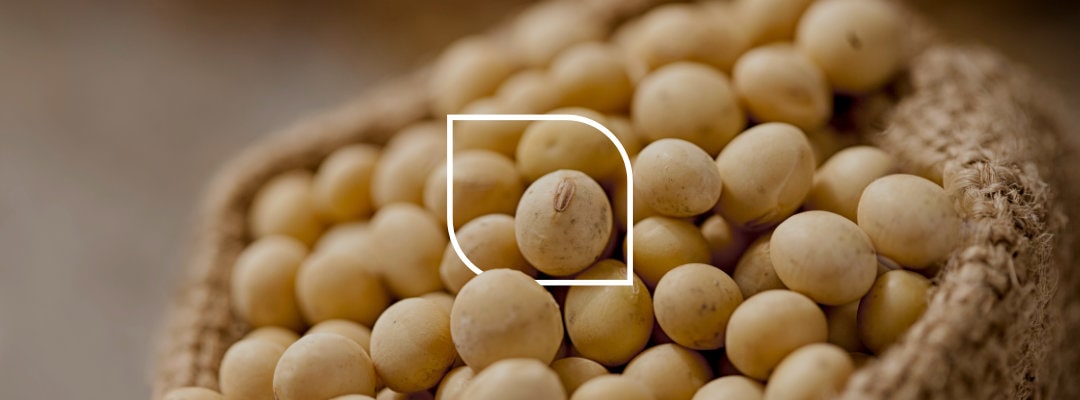 Soybean Oil - applications 