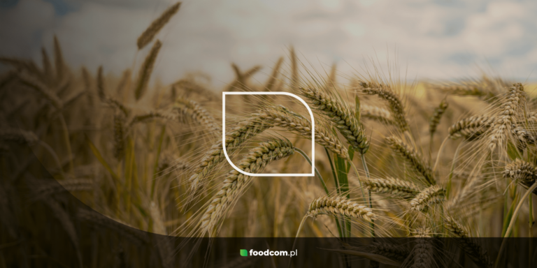 حبوب التقطير (DDGS) &#8211; نظرة عامة. فيمَ تُستخدم حبوب ال DDGS؟