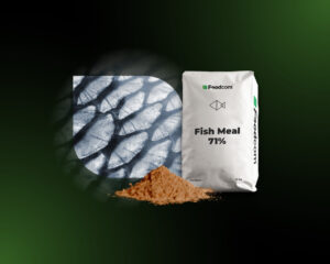 Fish Meal 72%