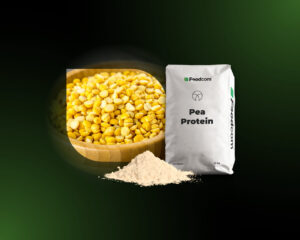 Pea Protein