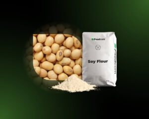 Soy Flour