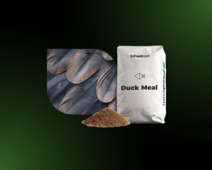 Duck Meal | Foodcom S.A.