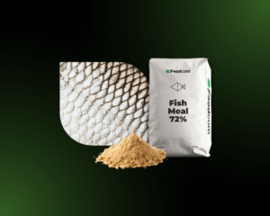 Fish meal | Foodcom S.A.