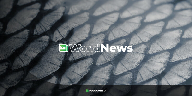 World News Foodcom S.A.