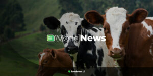 Foodcom S.A. World News