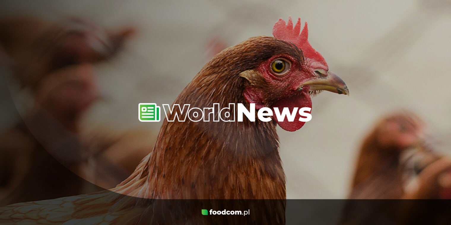 Rising Feed Costs All Over The World