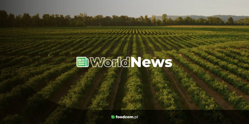 Foodcom S.A. World News