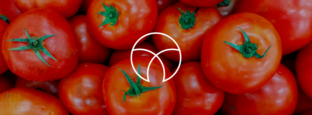 Growing demand for Tomato Paste in the B2B market