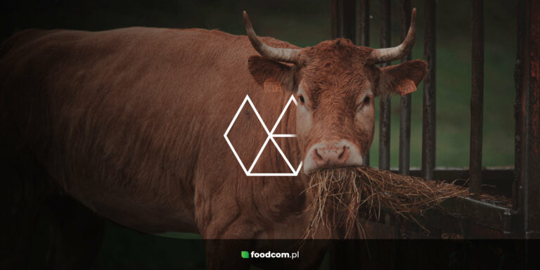 Что такое кошерность? Основы производства продуктов питания в соответствии с еврейским законом