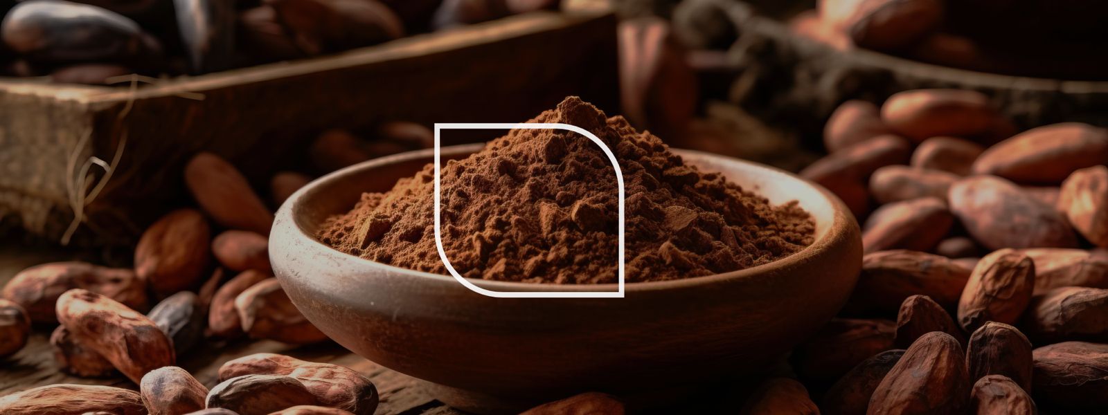 Jak wygląda produkcja kakao?