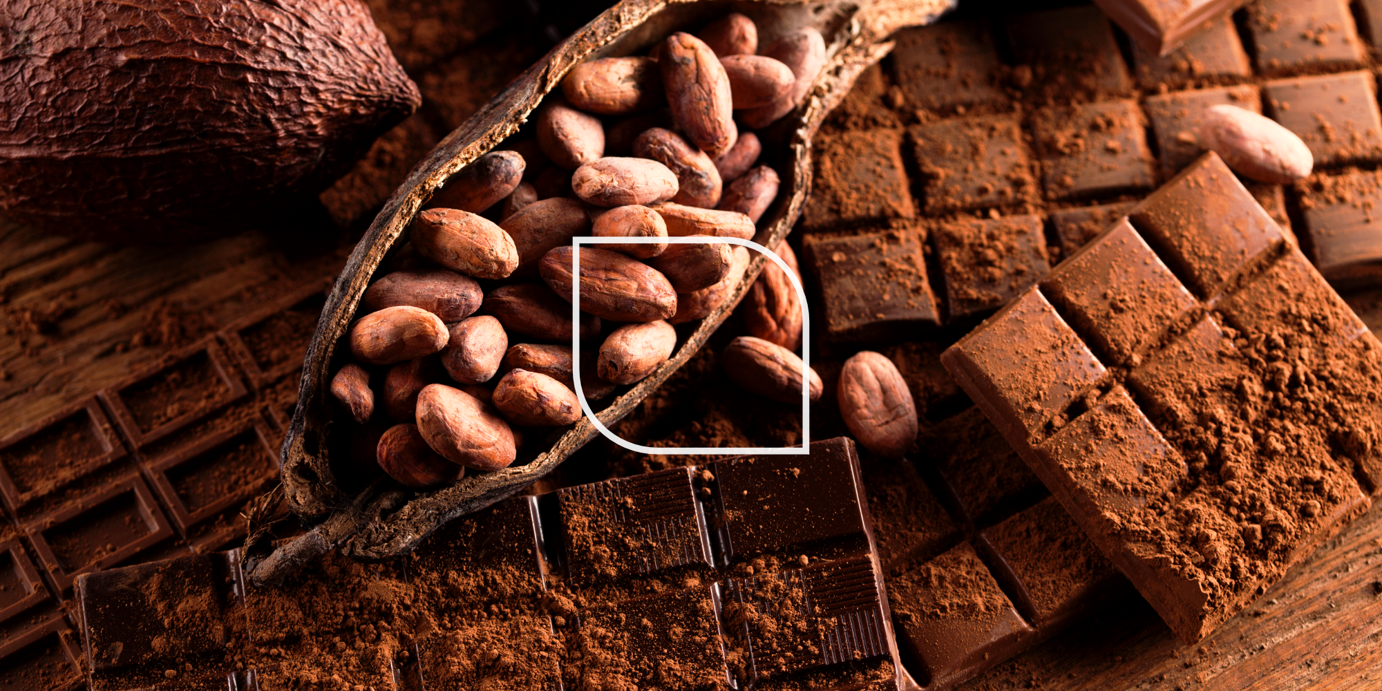 Jakie rodzaje kakao można spotkać na rynku?