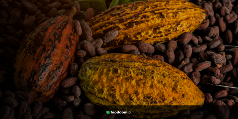 क्षारीय और गैर-क्षारीय कोको &#8211; कोको के प्रकारों के बीच क्या अंतर हैं?