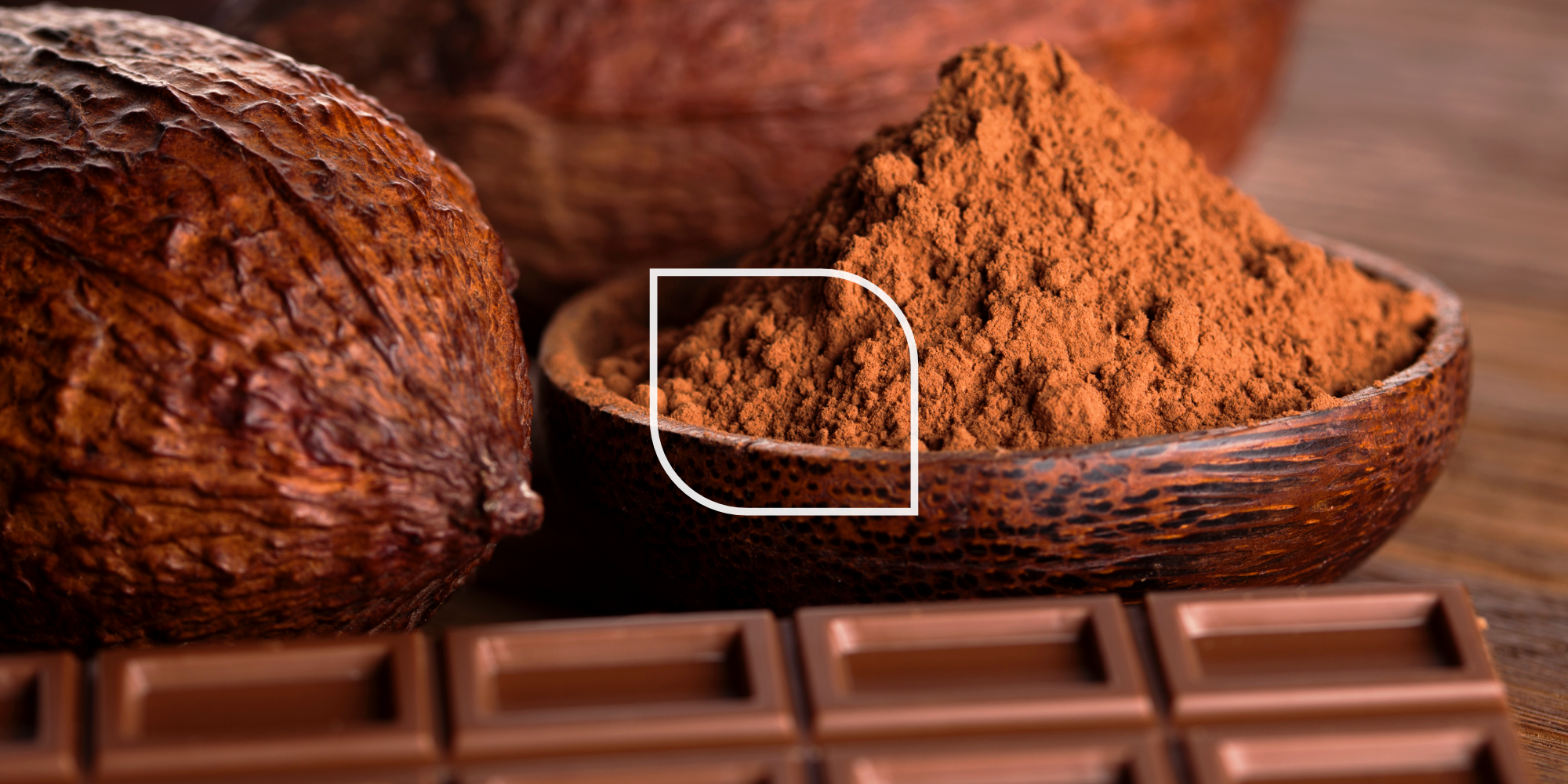 Kakao alkalizowane i niealkalizowane - zastosowania