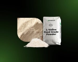 L-valine feed grade powder