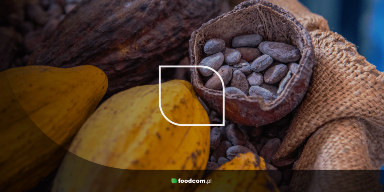 Cocoa market in 2024: a slump that will shake up the industry