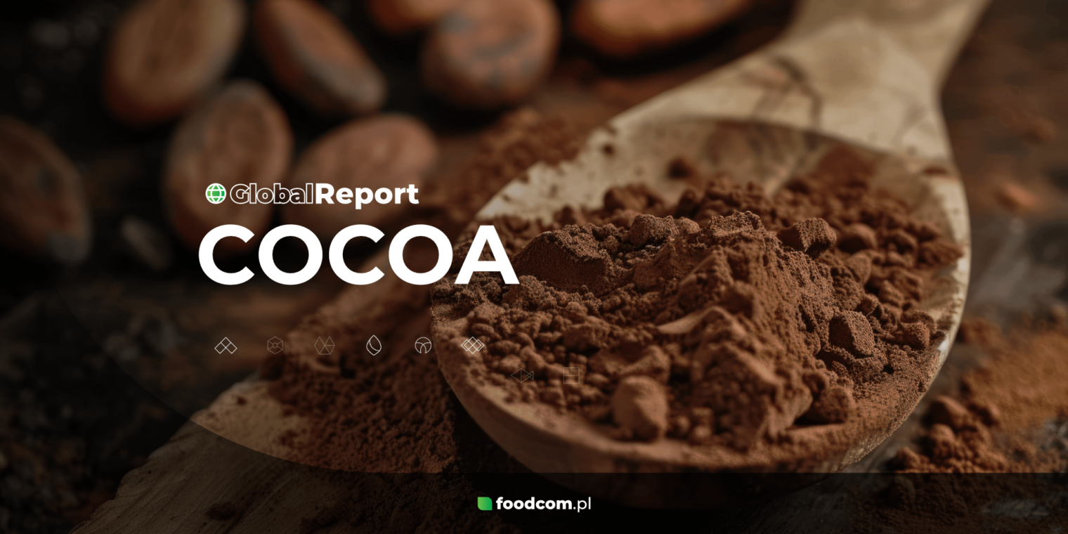 Cocoa Market Review 2024 [Global Report]