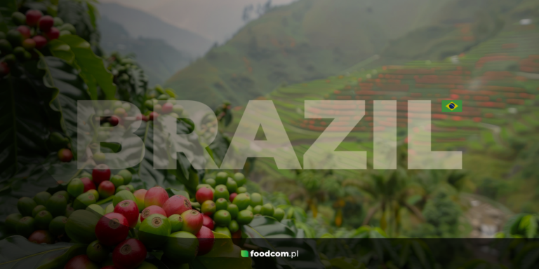 Brazilian coffee &#8211; a unique taste and a rich tradition