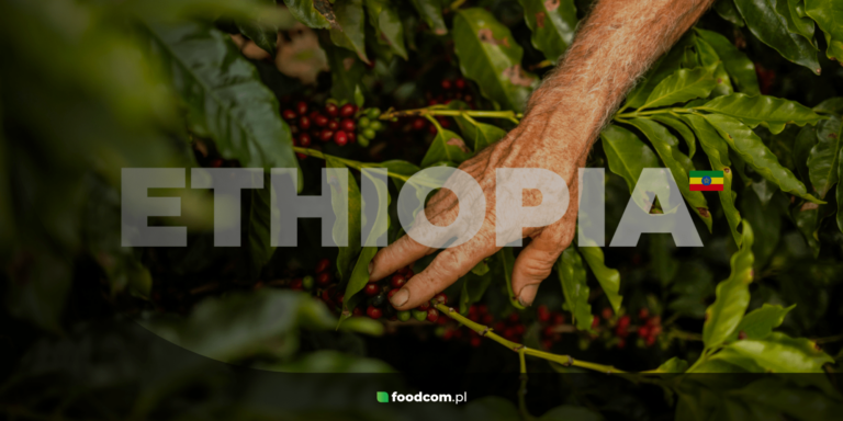 Coffee from Ethiopia &#8211; an aromatic journey to the roots of coffee