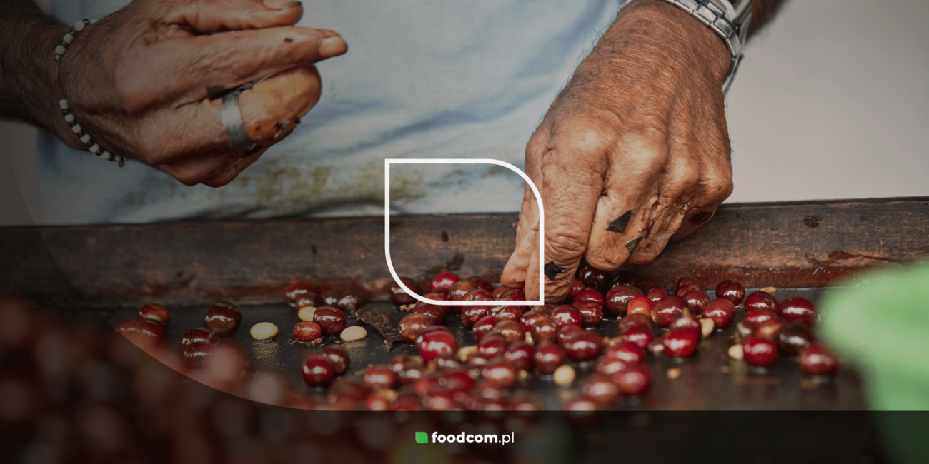 Arabica – everything you need to know about the queen of coffees