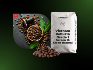 Vietnam Robusta Grade 1 Screen 16 Clean Natural Washed