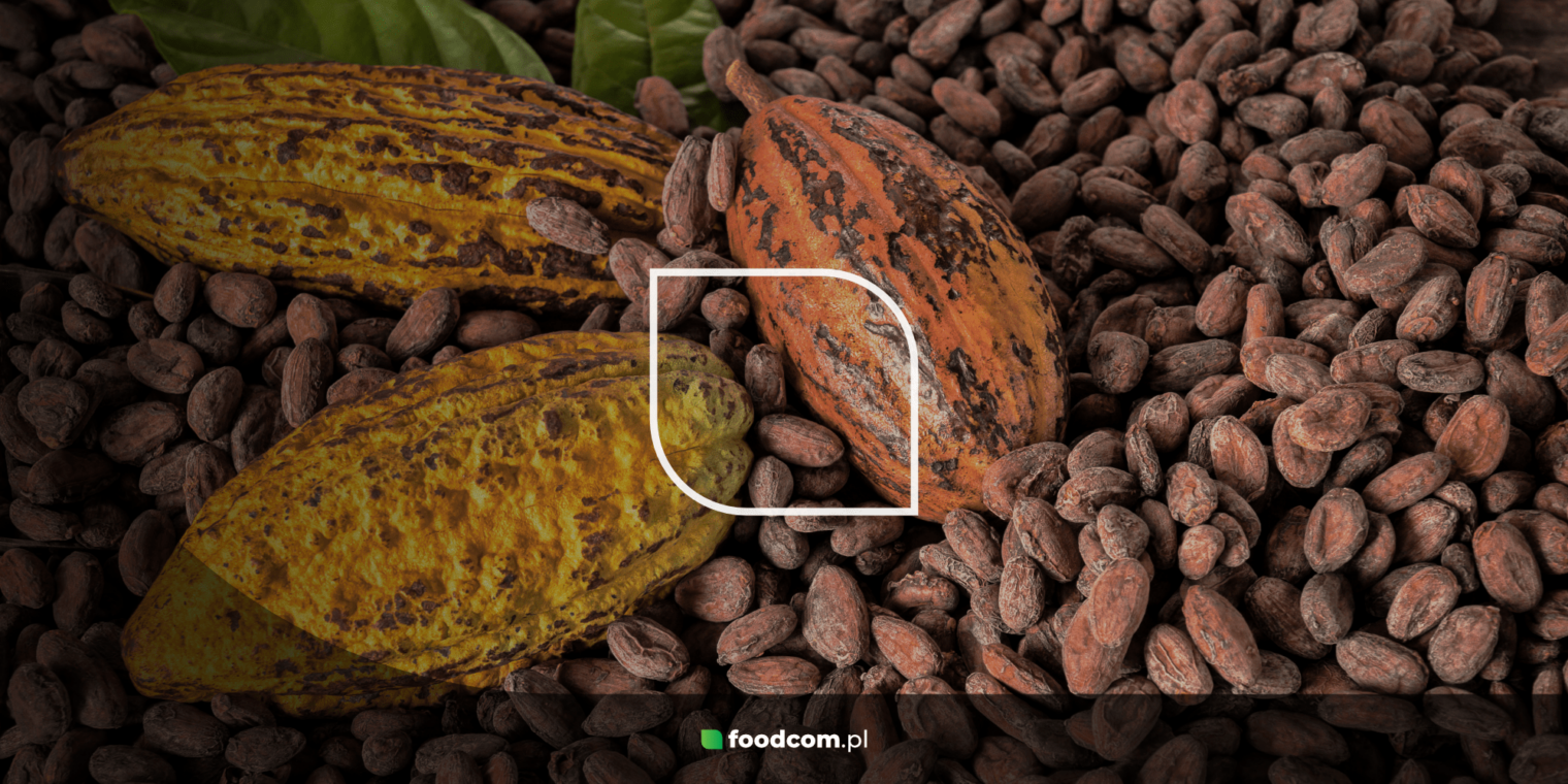 How is chocolate made? From the bean to the dessert | Foodcom S.A.