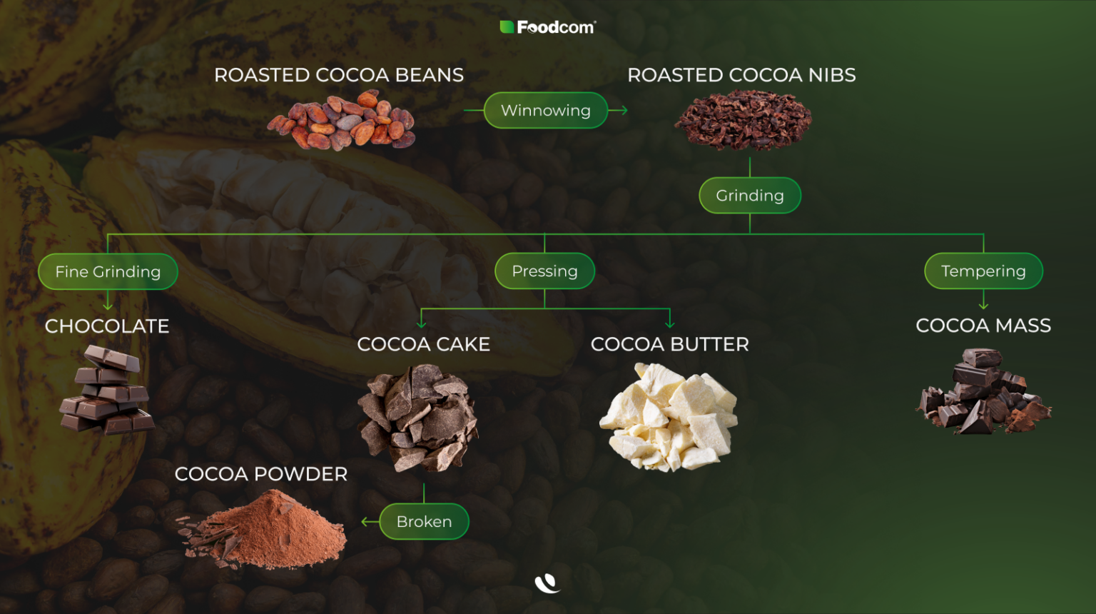How is chocolate made? From the bean to the dessert | Foodcom S.A.