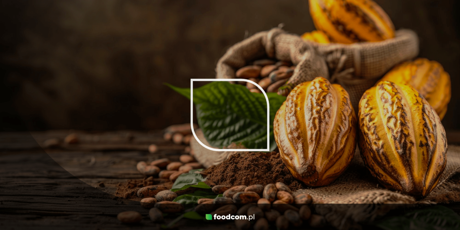 Tipos de cacao: variedades y formas de procesar las habas de cacao