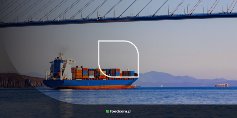 Transport maritime : quel est son impact sur le climat ? Défis pour l&rsquo;industrie alimentaire