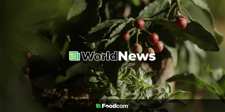 Coffee prices rise due to drought in Brazil and lower harvest forecasts