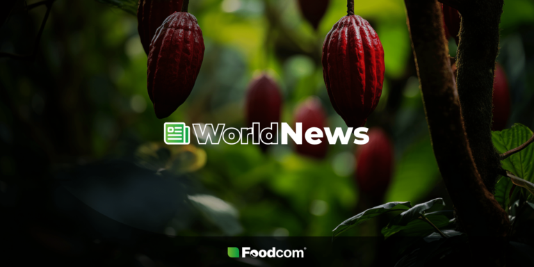 The cocoa market at a crossroads in 2025 – latest forecasts and risks [World News]