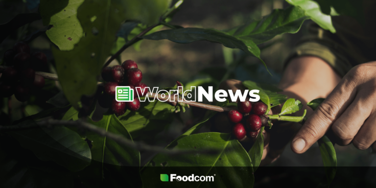 Lower Brazilian Arabica harvest in 2025 with better quality beans [World News]