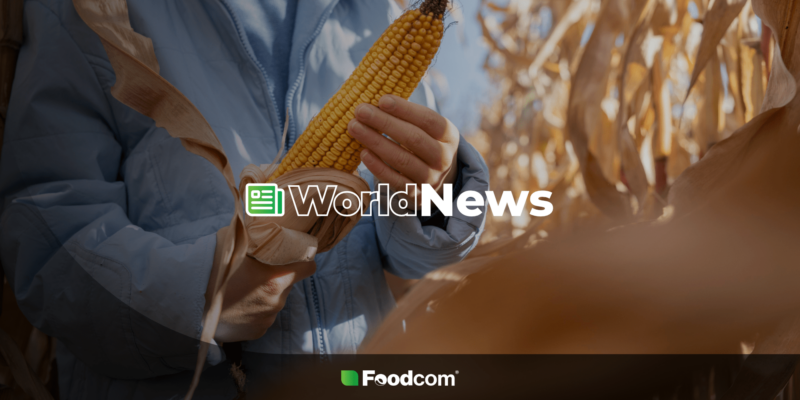 World News Foodcom S.A.