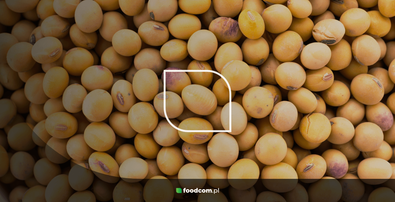 Soy – a plant with many uses and remarkable properties