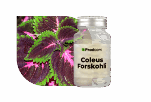 Coleus Forskohlii Extract