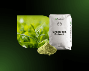 green tea extract