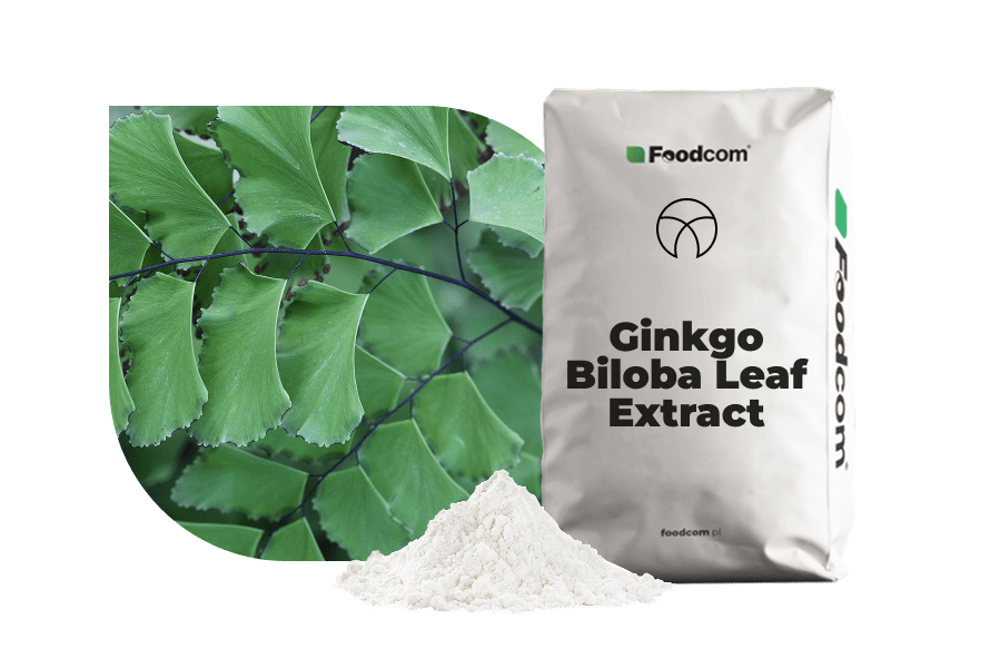 Extracto de ginkgo biloba