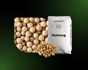 Gałka muszkatołowa