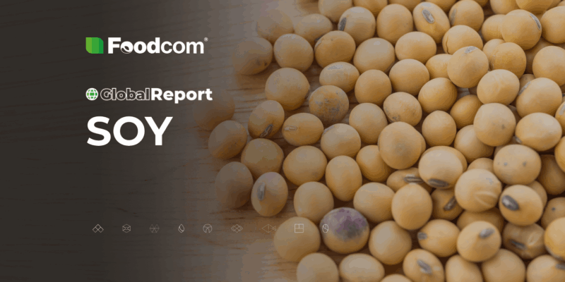 Global report soy