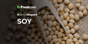 global report soja