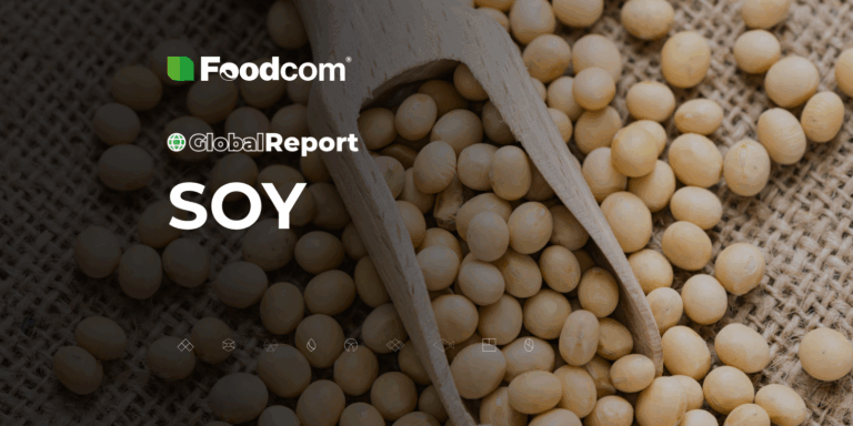 Обзор рынка сои [Глобальный отчет]