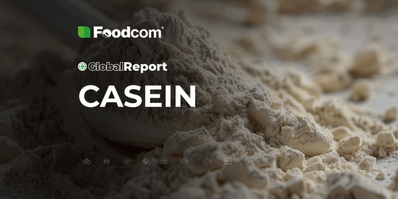 global report kazeina